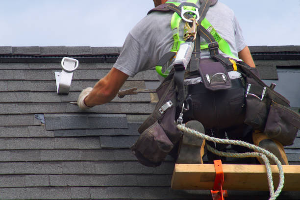 Best Residential Roof Replacement  in Eslon, CA