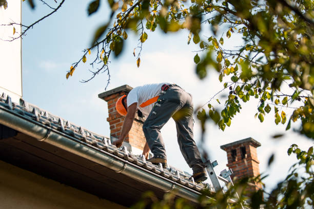 Best Roof Repair Services  in Eslon, CA