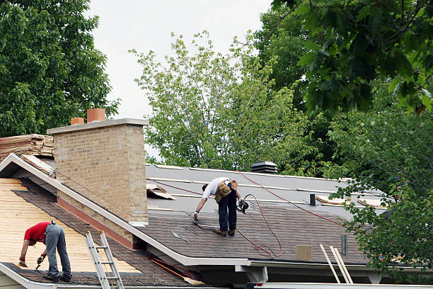 Best Roof Leak Repair  in Eslon, CA