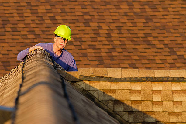 Best Shingle Roofing Installation  in Eslon, CA